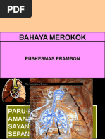 Flip Chart Merokok | PDF