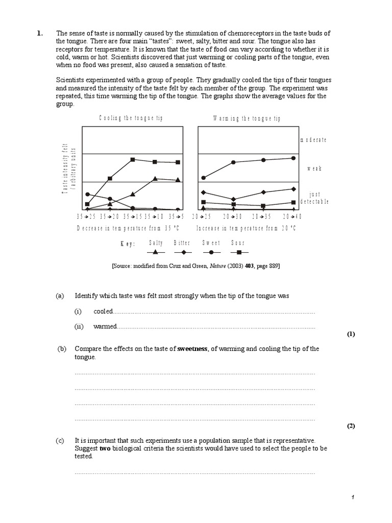 Homeostasis Questions PDF Blood Sugar Taste