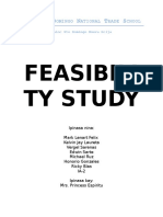 Feasibility Study1