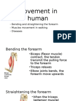 Movement in Human: - Bending and Straightening The Forearm - Muscles Movement in Walking - Diseases