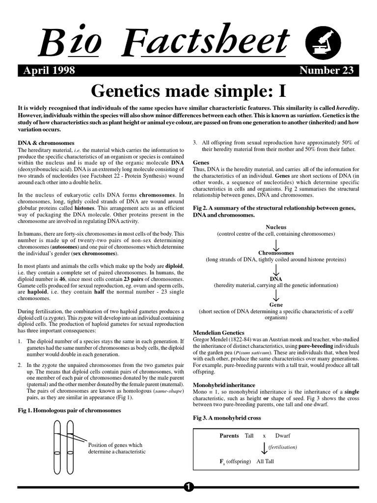 Genetics Pdf Pdf Zygosity Genetics