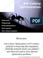 Ant Travelling Salesman Problem