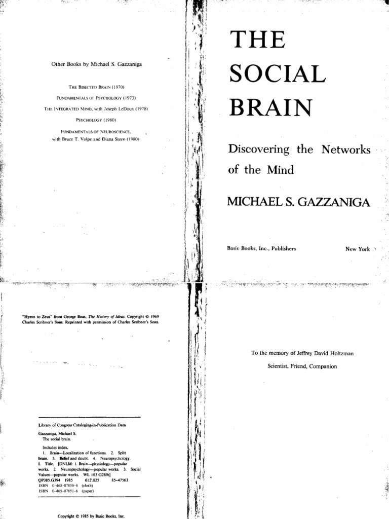 Consciousness visual data 2