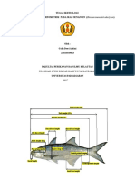 Sifat Morfometrik Pada Ikan Senangin (Galih Dewi Andini 230110164023)