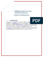 Determinacion de Algas Macroscópicas