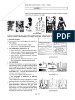 Tema. La linea.pdf