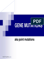 Bio432 Slide Gene Mutaticns