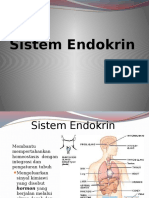 Sistem Dan Anatomi Endokrin