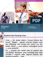 Ppt Uveitis Fix