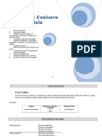 Evaluare Initiala Model de Raport (1)