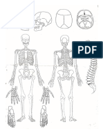 Gambar Otopsi (Bag. dari Form. Otopsi).doc