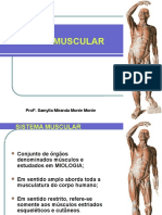 Aula 04 - Sistema Muscular...2017.1.pptx