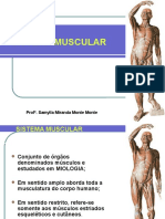 Aula 04 - Sistema Muscular... 2017.1