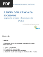 1_Origem_caracterização_Sociologia.pdf