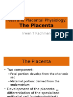 Fetal and Placental Physiology:: The Placenta