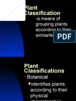 Plant Classification Darrin Holle