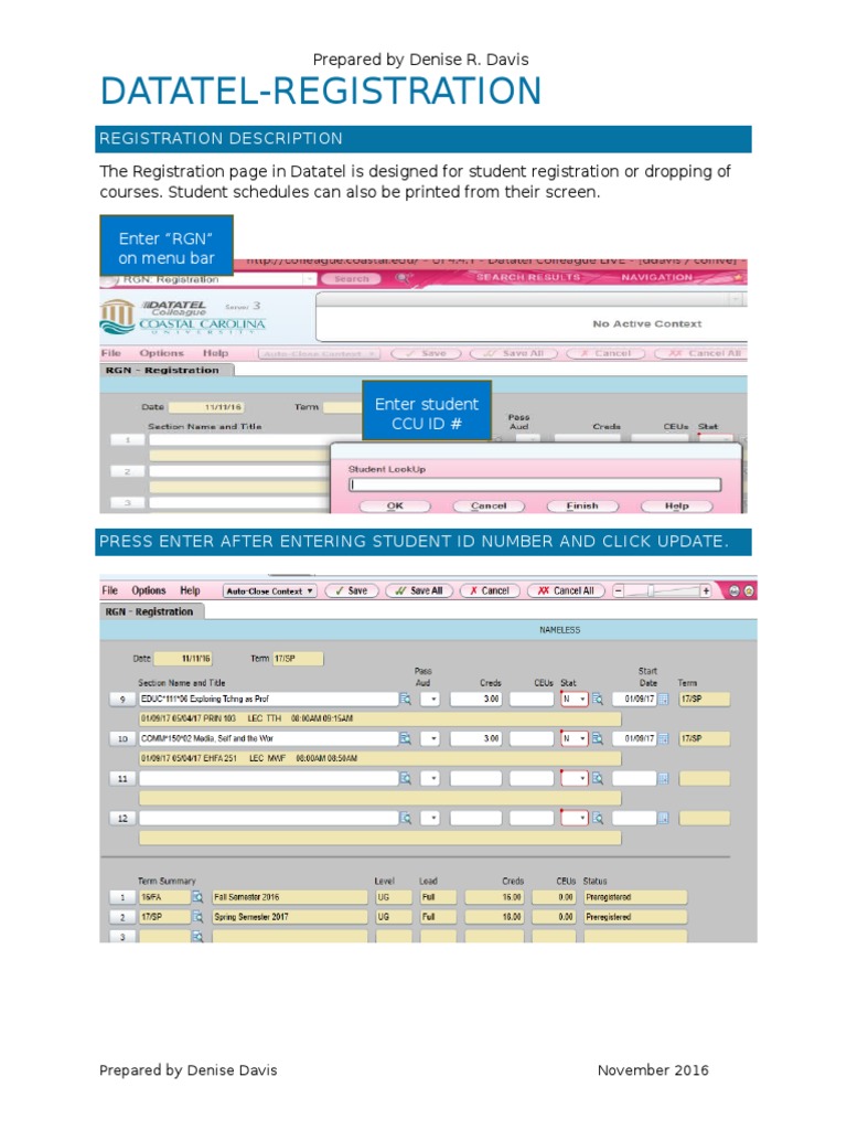Datatel RGN | PDF | Career & Growth | Business