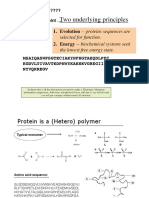What Is A Protein ????? Informatics Viewpoint