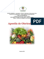 133913597-apostila-de-olericultura-nad-pdf.pdf