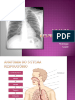 Sistema Respiratorio9 Cap1112.pps