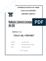 ciclo fosforo.docx