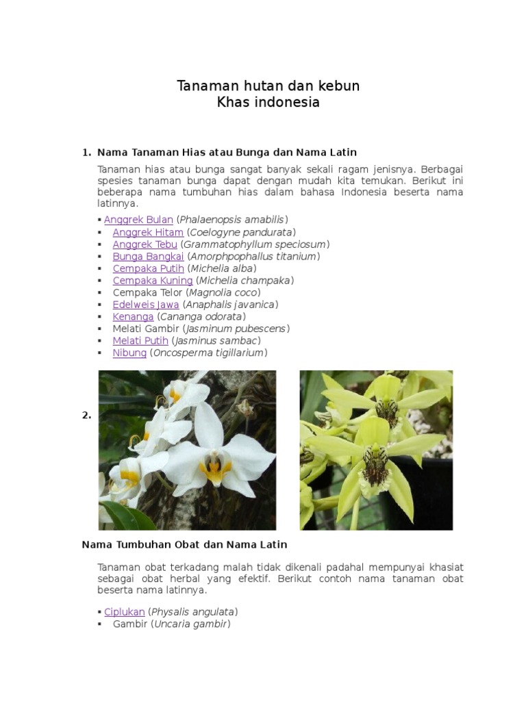 Daftar Nama Tumbuhan Hutan Daftar Nama Tumbuhan Hutan