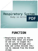 respsystnotes ahi 2017copy