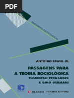 BRASIL JR, Antonio. Passagens Para Teoria Sociologica