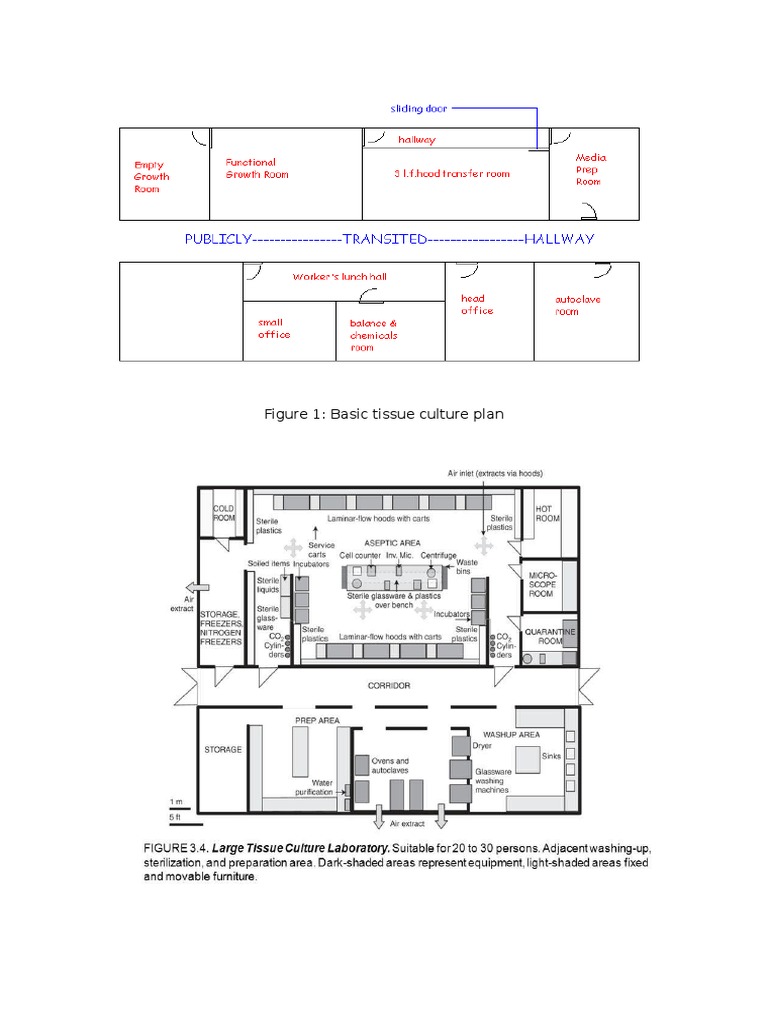 Tissue Culture Lab Layout Diagram | PDF