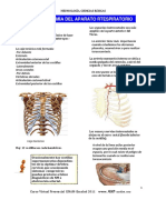1._Anatomía_del_Ap_respiratorio_PLUS_medica.pdf