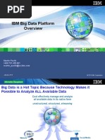 IBM Big Data Strategy