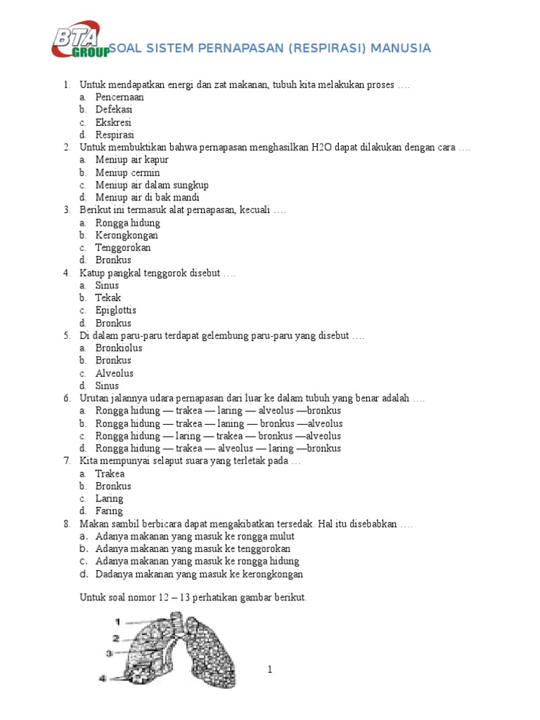 Soal Pg Sistem Pernapasan Kelas 8