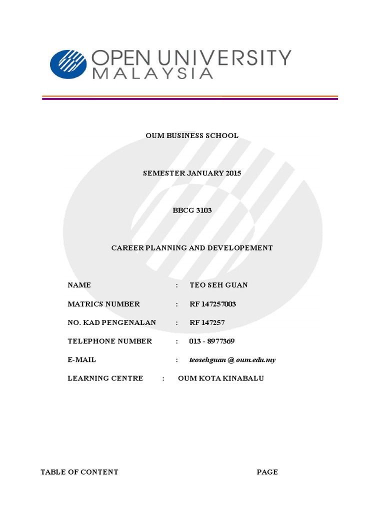 Career Planning and Developement PDF Chief Executive Officer