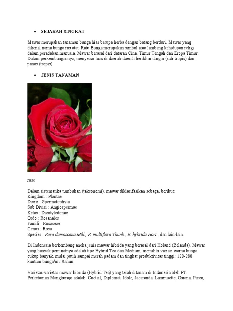Sejarah Singkat Tanaman Mawar Pdf