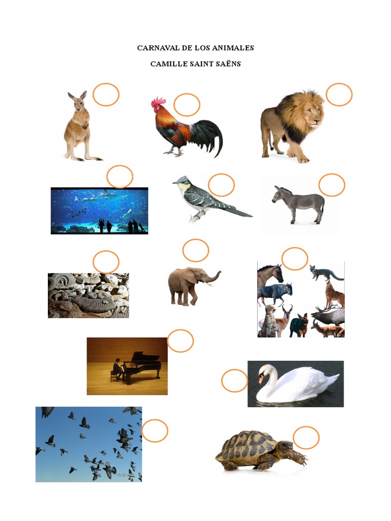 Carnaval de Los Animales  El carnaval de los animales  Las artes