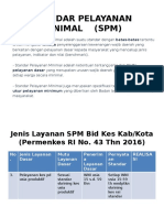 Standar Pelayanan Minimal (SPM)