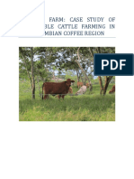 Pinzacuá Farm: Case Study of Sustainable Cattle Farming in The Colombian Coffee Region