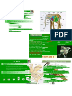 Diapositivas de CTA