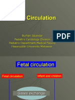 12.10.09 Fetal Circulation