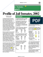 Special Report: Profile of Jail Inmates, 2002