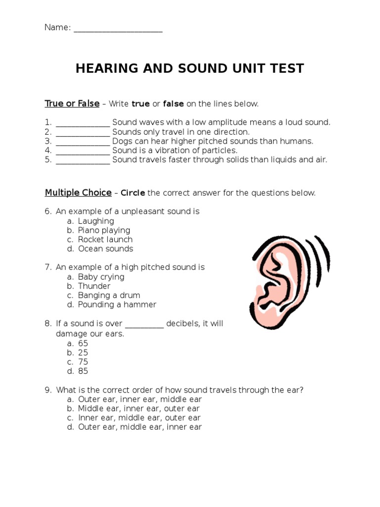 Science Hearing and Sound Unit Test PDF