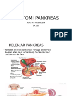 Anatomi Pankreas