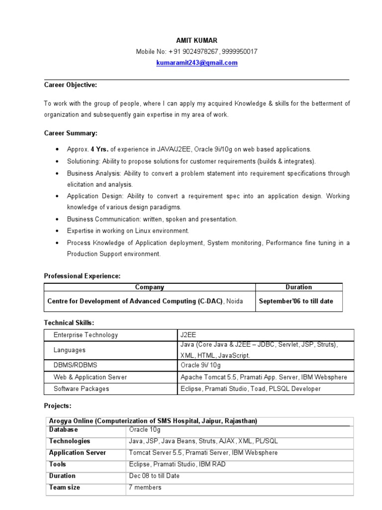 Java Developer Resume | PDF | Application Server | Oracle Database