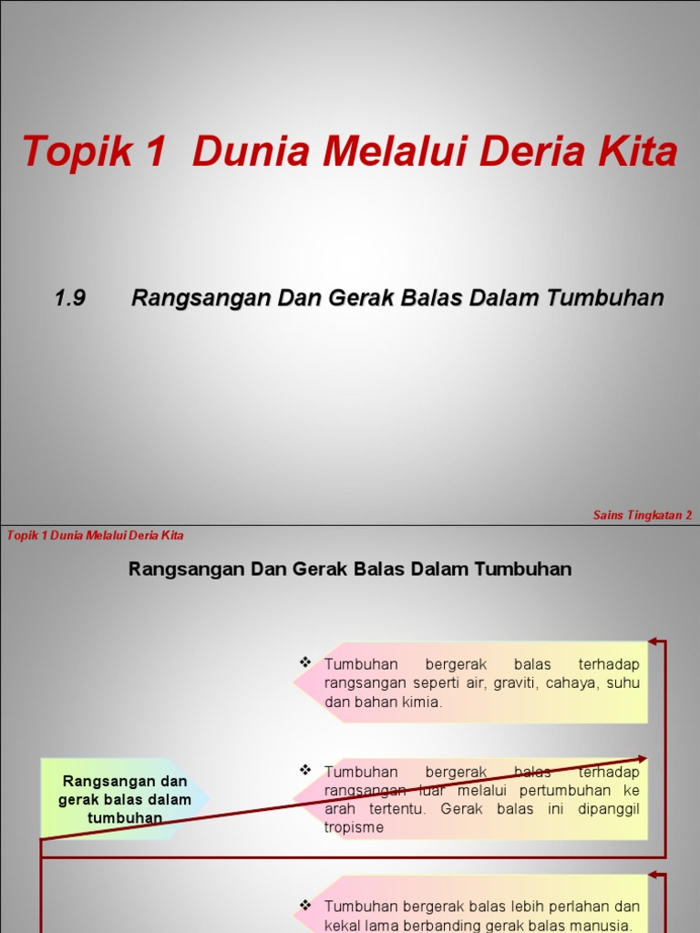 1 9 Rangsangan Dan Gerak  Balas  Dalam Tumbuhan 