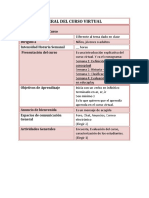 Sección General Del Curso Virtual PDF