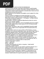 New Microsoft Word Document