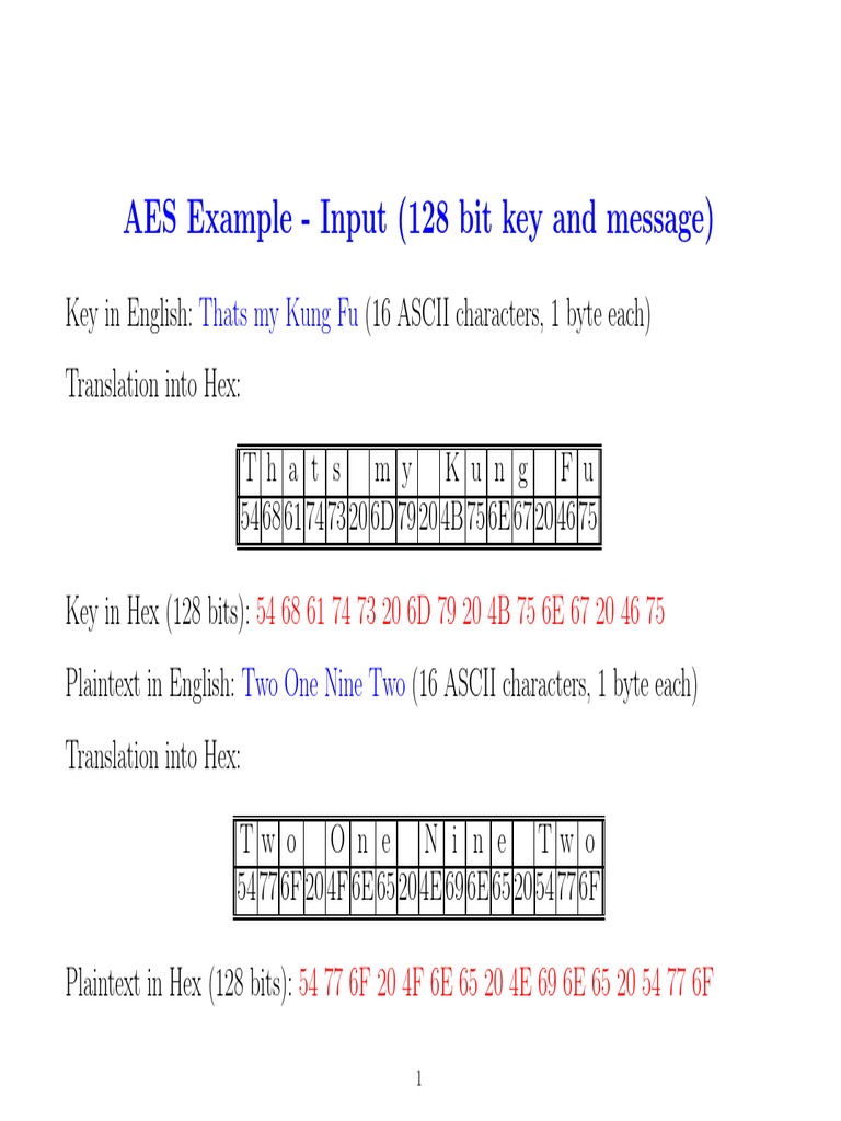 AES Example - Input (128 Bit Key and Message) : Thats My Kung Fu | PDF ...