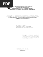 Ciclo de Vida Etanol - Marcelo