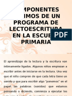 Componentes Minimos de Un Programa de Lectoescritura