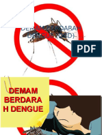 Demam Berdarah Dengue 